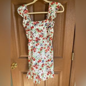 Blue Rain (Francesca’s) floral eyelet dress. XS.
